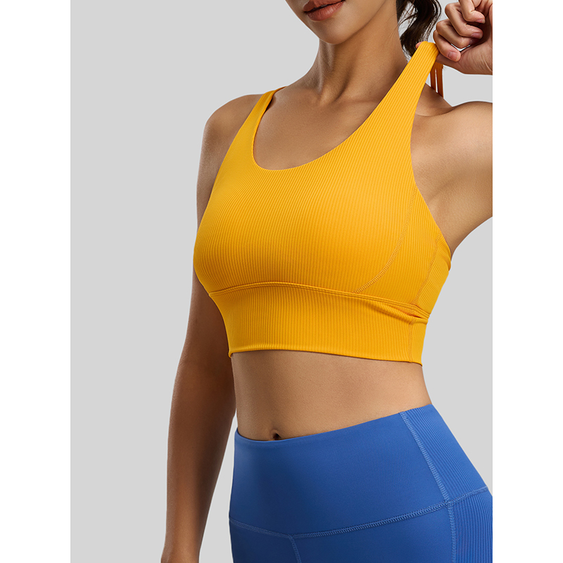 2026 New Women Ribbed High Imp - Sports Bra High Impact review and price